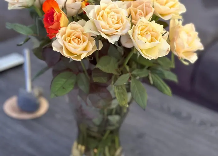 Kleine Sundpfote شقة *